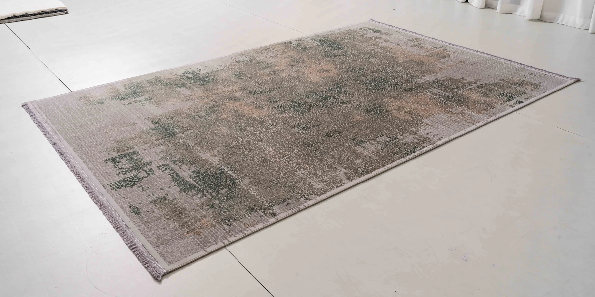 Have a floor plan or reference image?