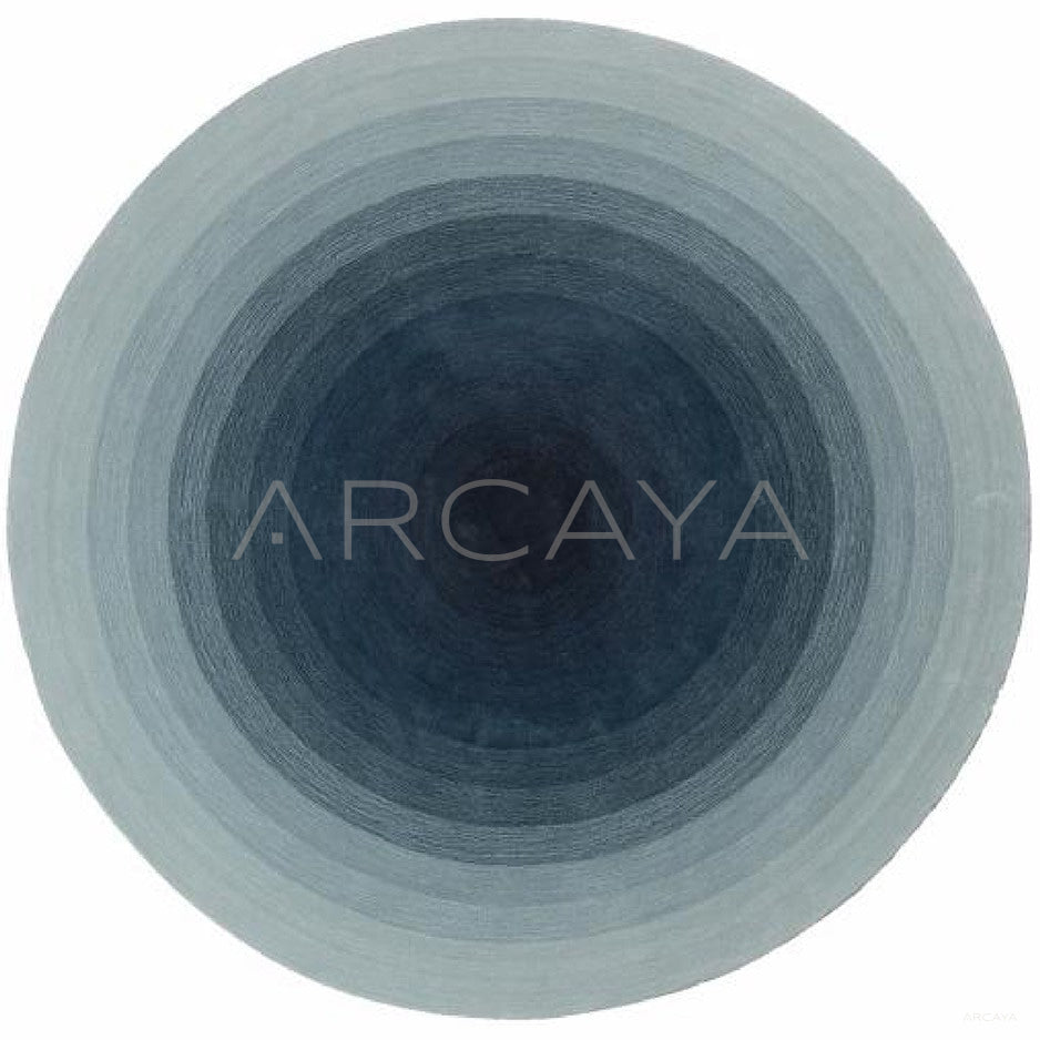 Custom Hand Tufted Rug Dsm P170 L F Jy2024 10005 3