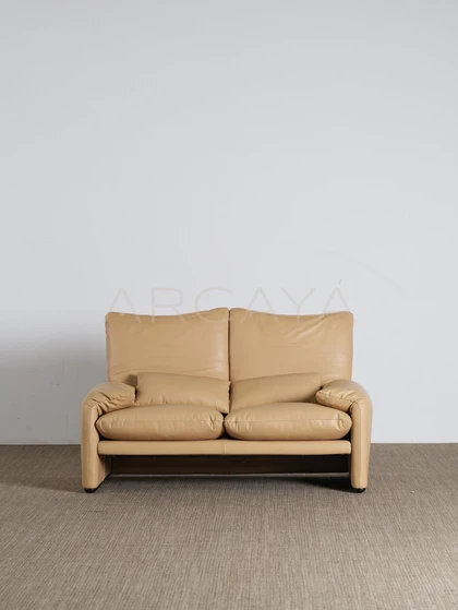 Faye Arc Straight Sofa - product detail 14