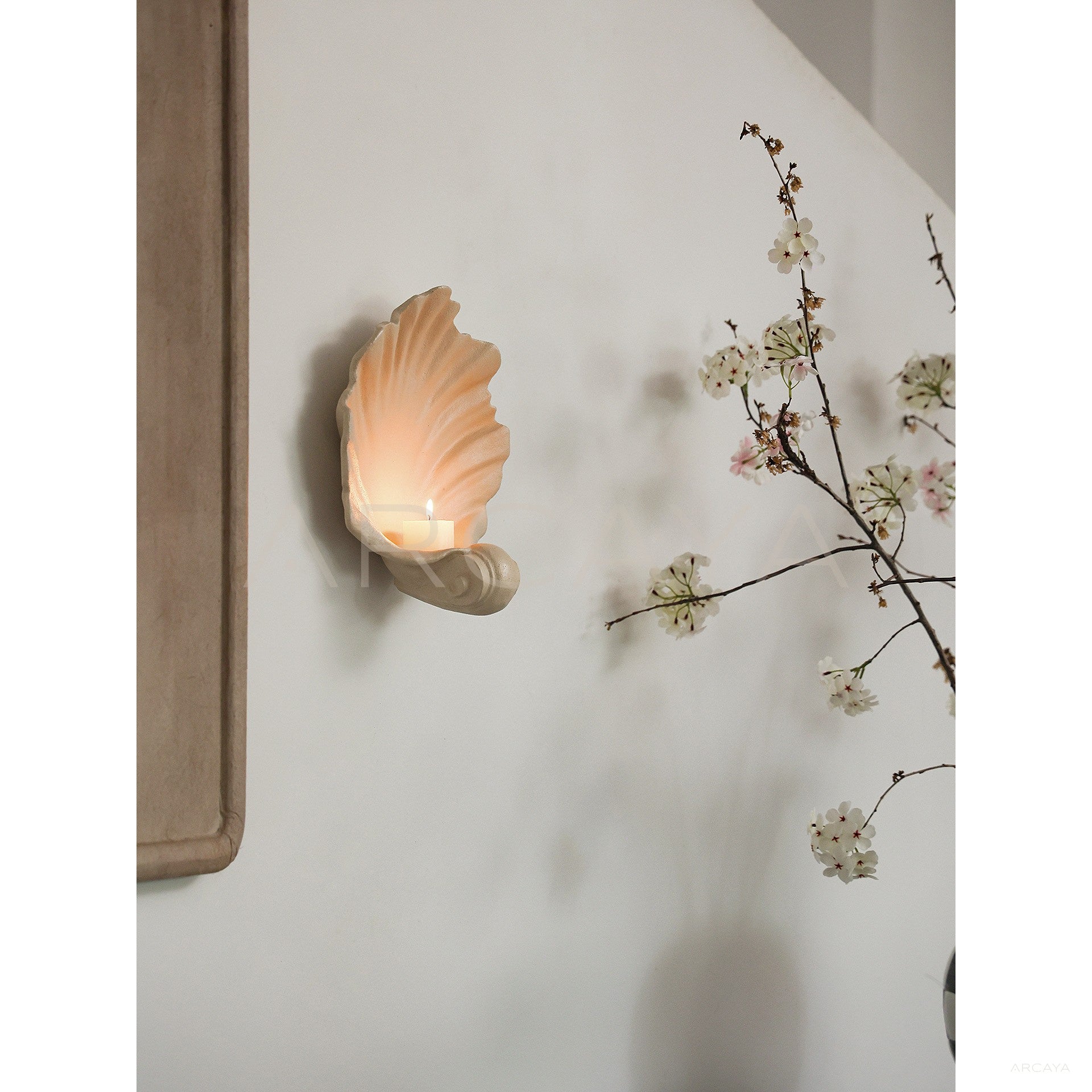 Seashell Coastal Decor — Wall Lighting