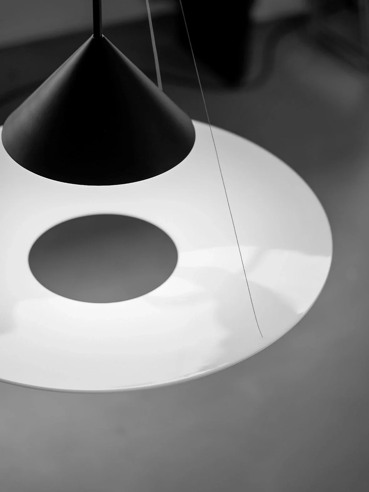 Dahlia Reef Lighting in a finished interior.