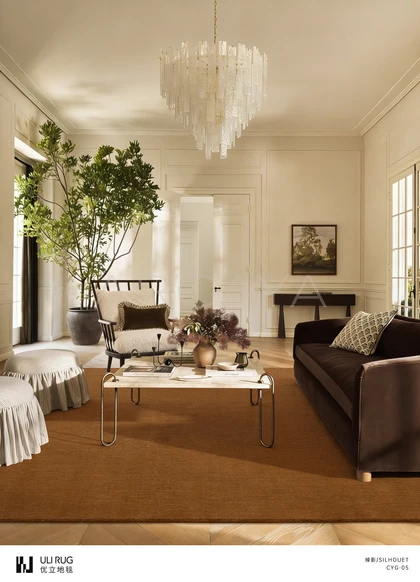 Silhouette Cairn Area Rug — interior view 05