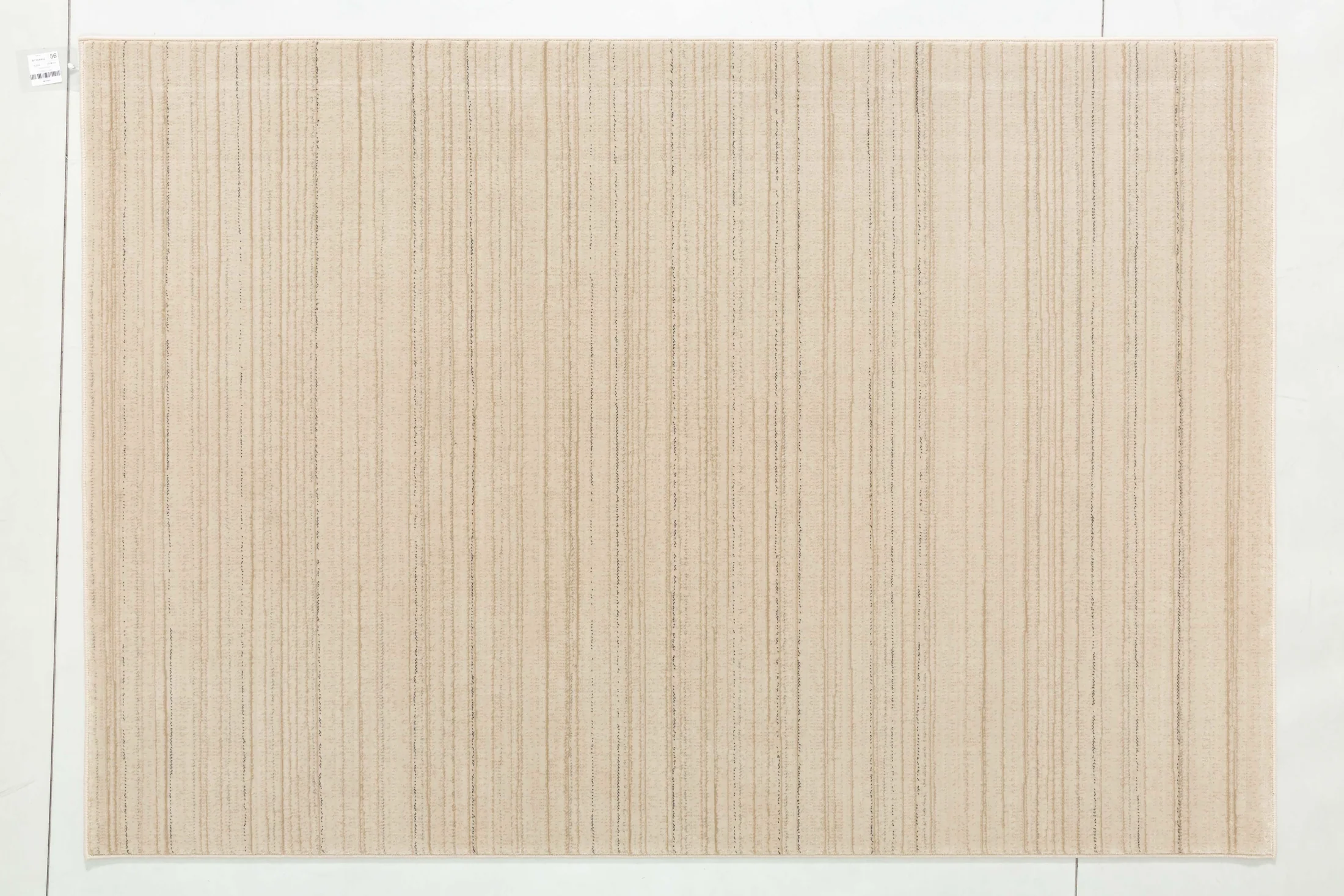 Raw Arbor Area Rug in a finished interior.
