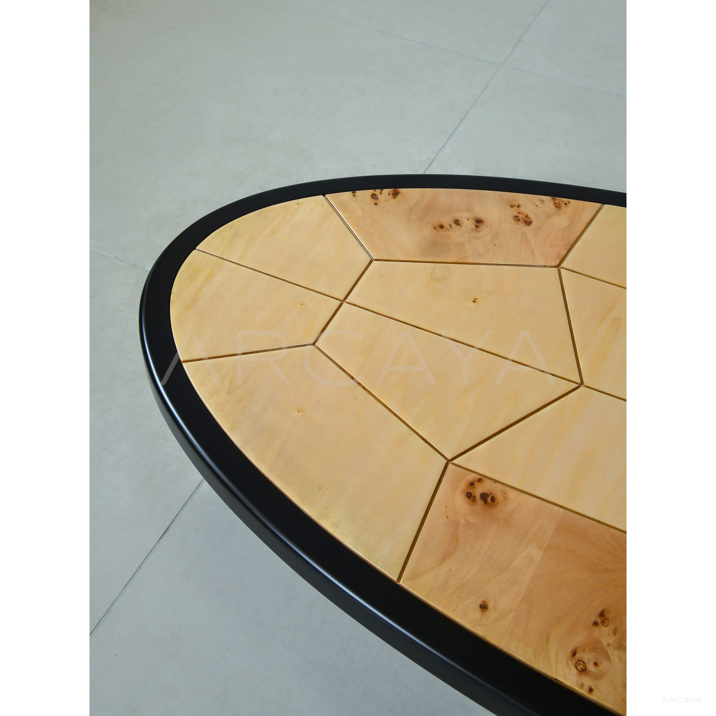 Poplar Burl Veneer Coffee Table - scene