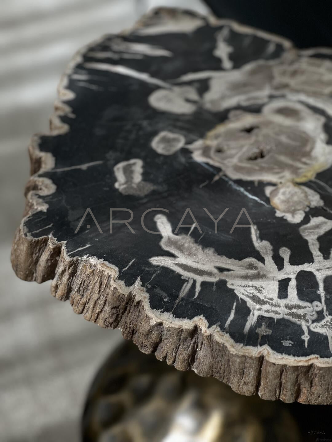 Petrified Wood Wabi Sabi Side Table - scene