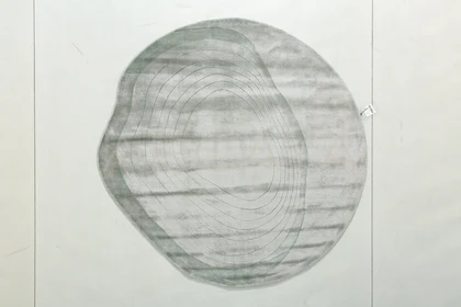 Teana Ember Area Rug — product view 05