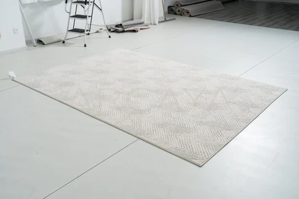 Shadow Arc Area Rug — product view 06