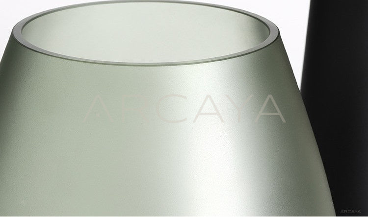 Vintage Glass Hydroponic Vase - photo