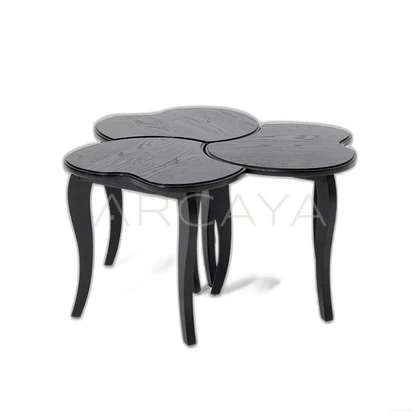 Alba Coast Coffee Table - product view on a white background 07