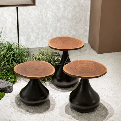 Fiera Ridge Coffee Table - front view 03