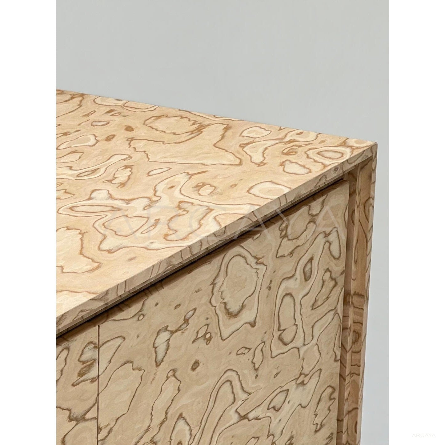 Art Burl Veneer Acrylic Leg Tv Stand - scene