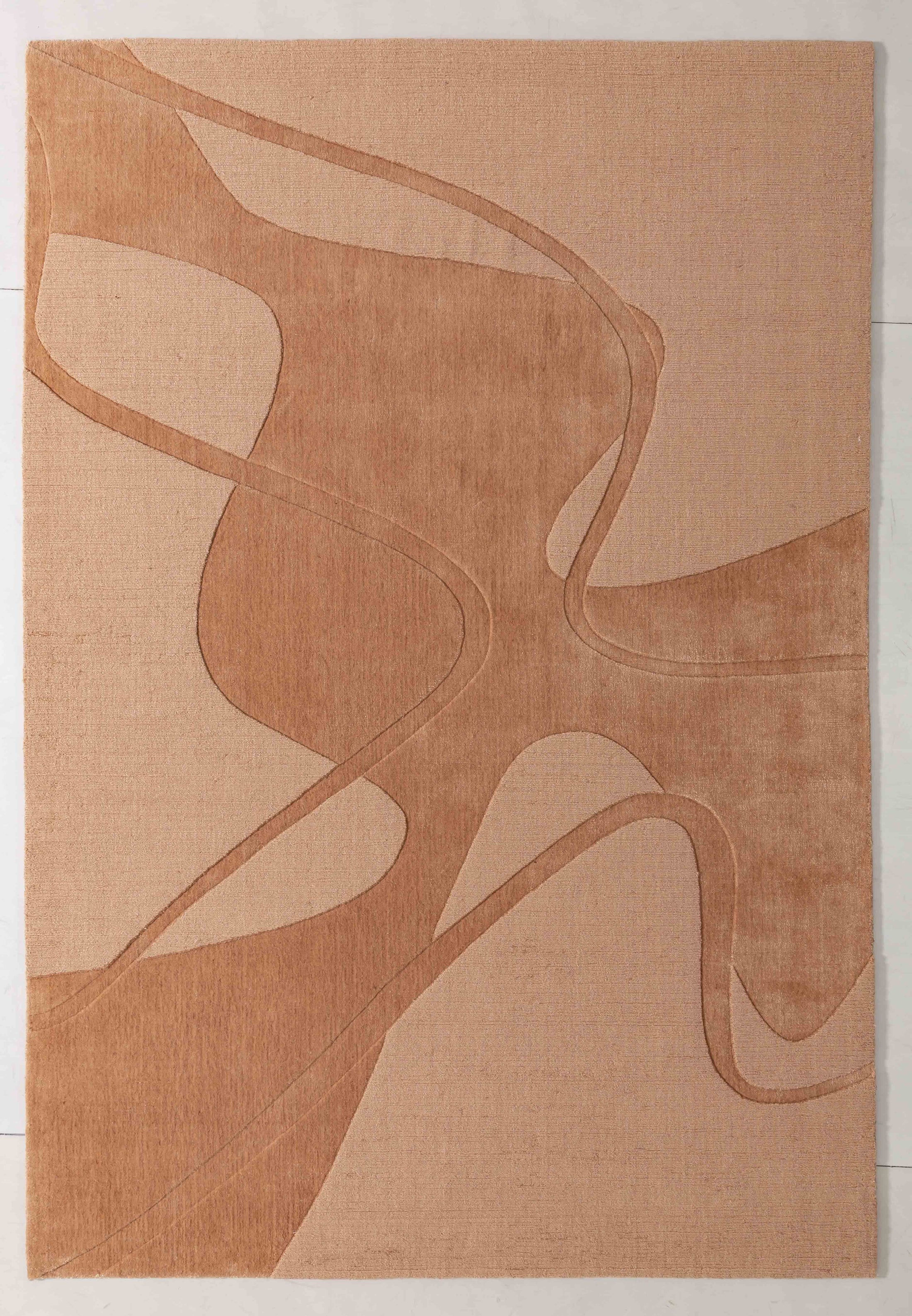 Ballet Cairn Area Rug in a finished interior.