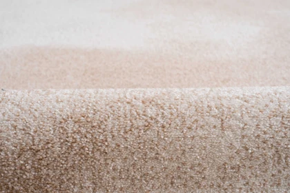 Garden Haven Area Rug — product view 02