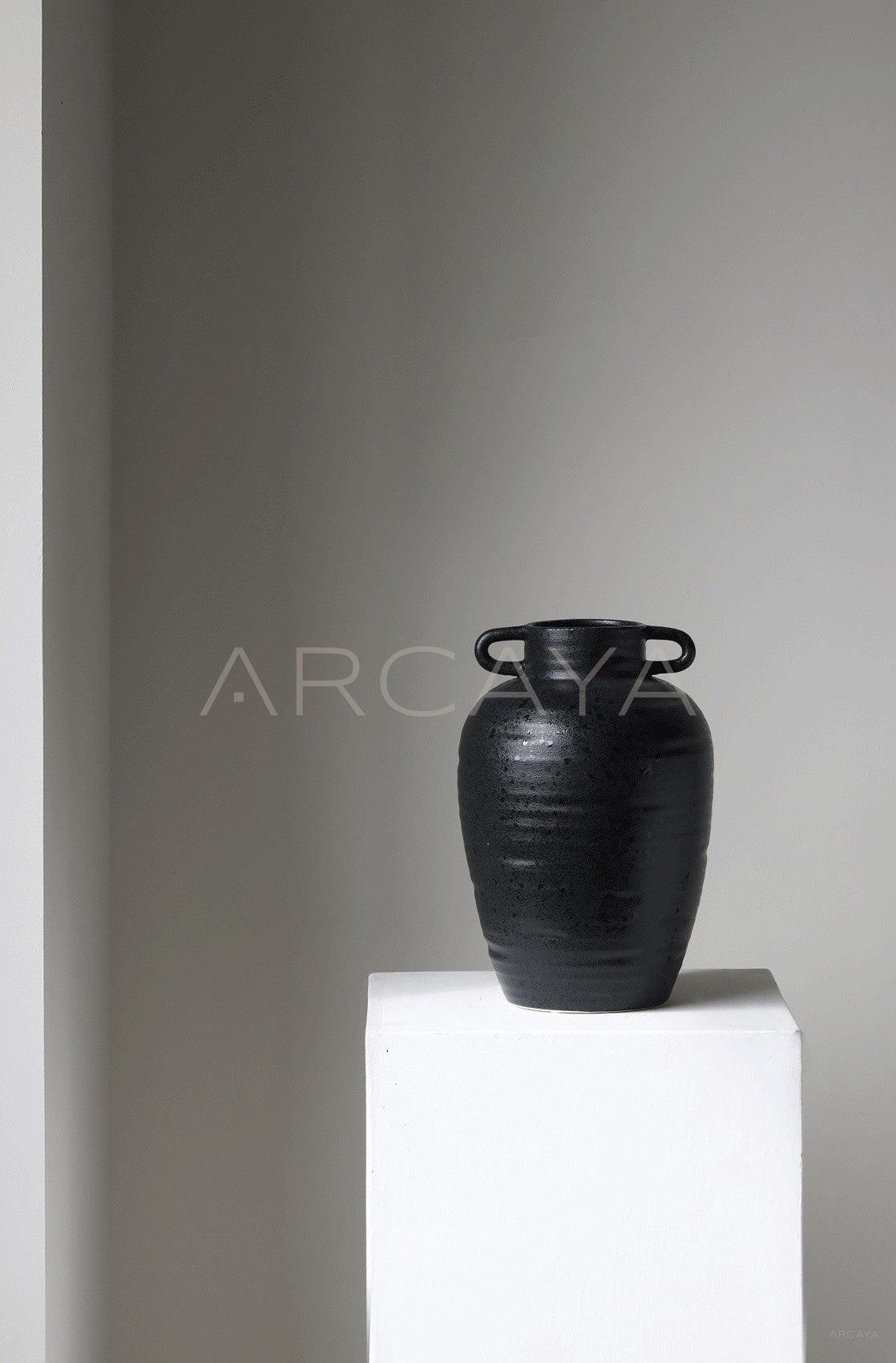 Black Double Ear Art Vase - scene