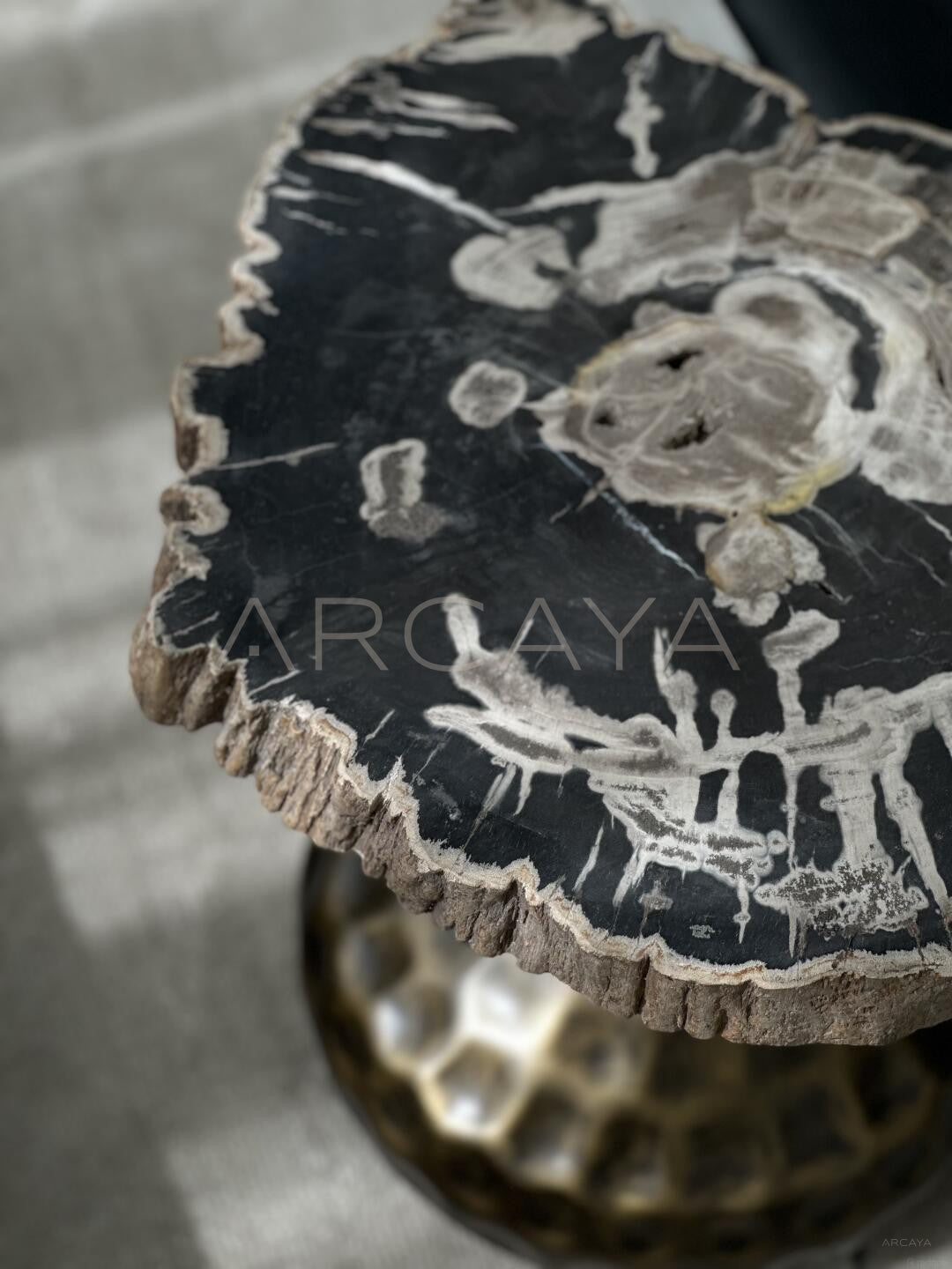 Petrified Wood Wabi Sabi Side Table - scene