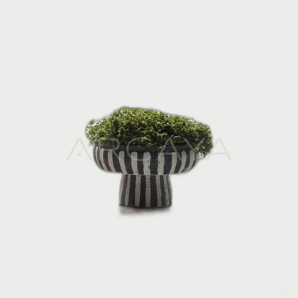 Cedar Meadow Decorative Object — neutral background 01