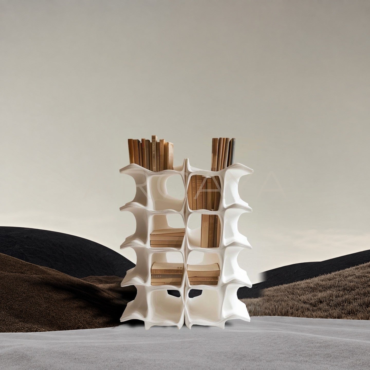 Spine Bookshelf 2 - main