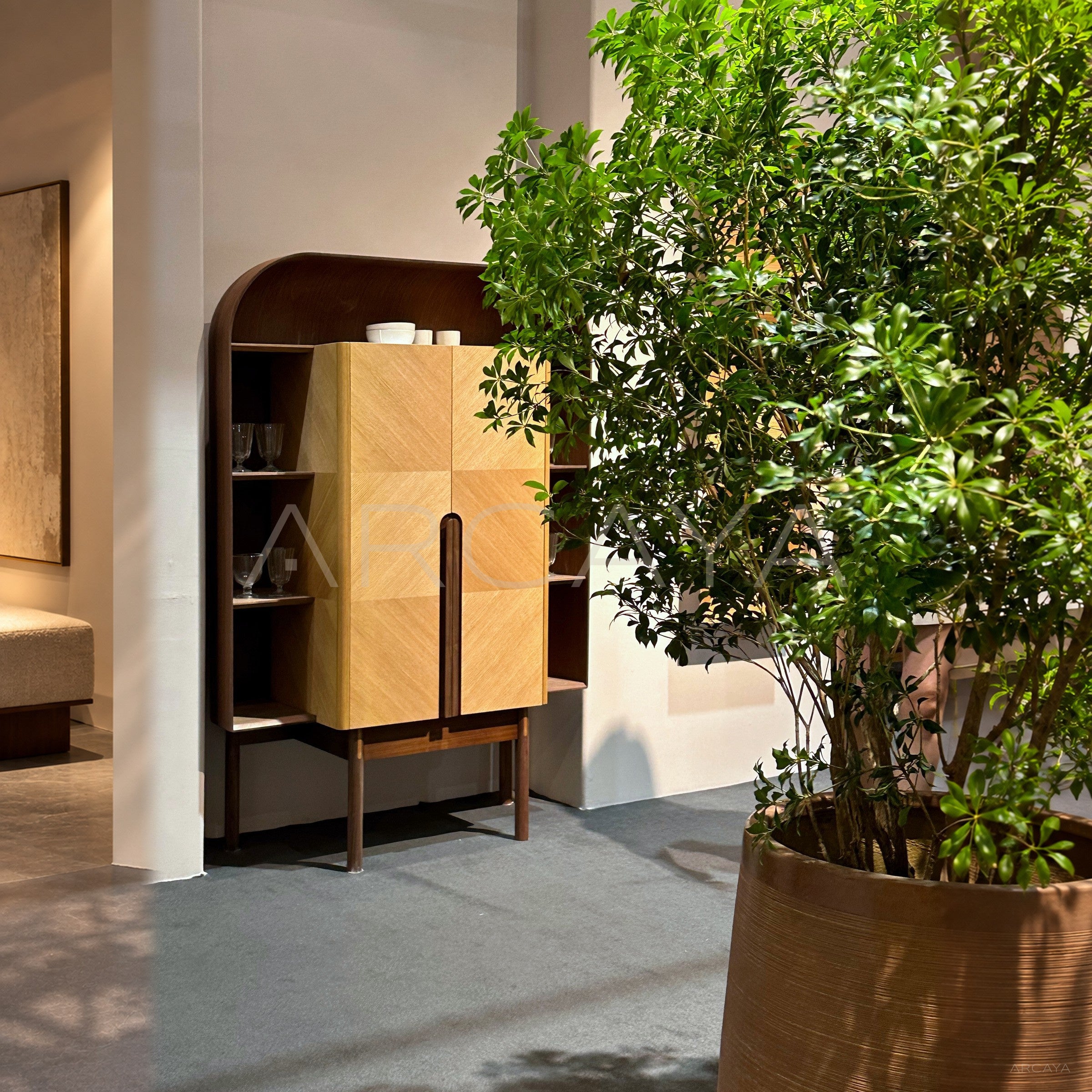 Curved Wine Cabinet With Light