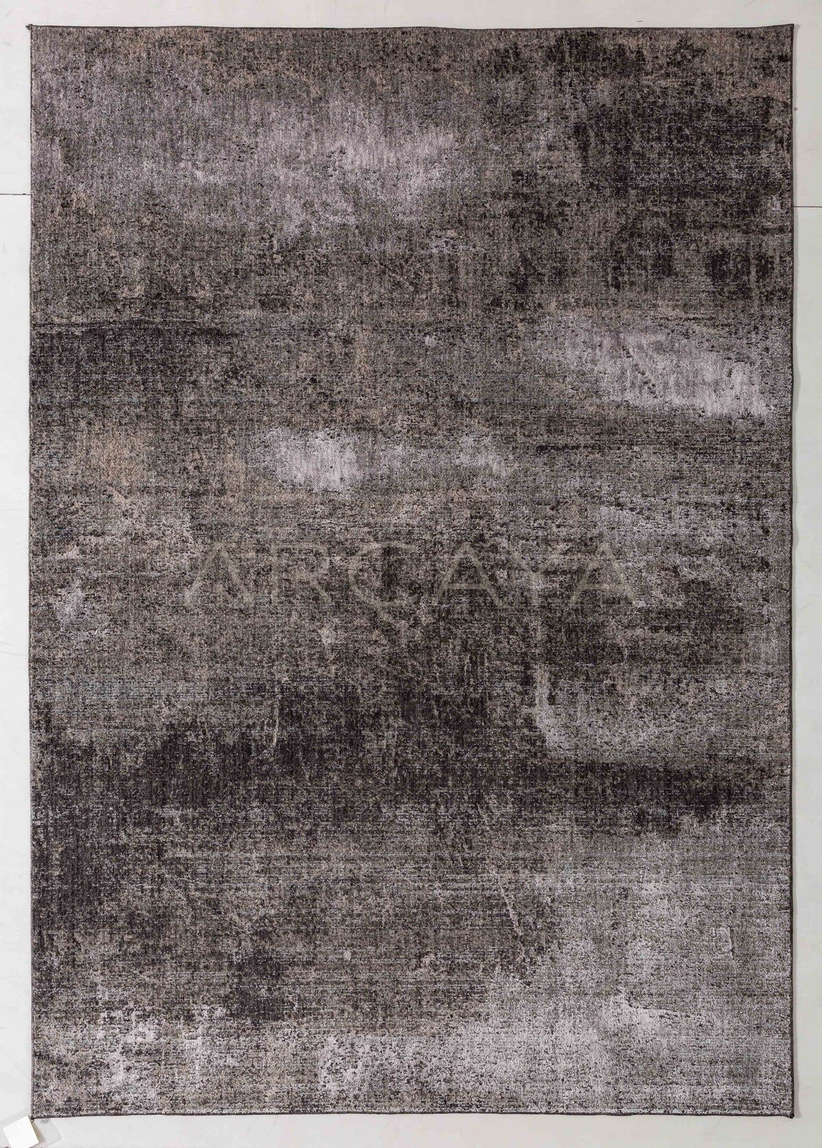 Painter Cove Area Rug