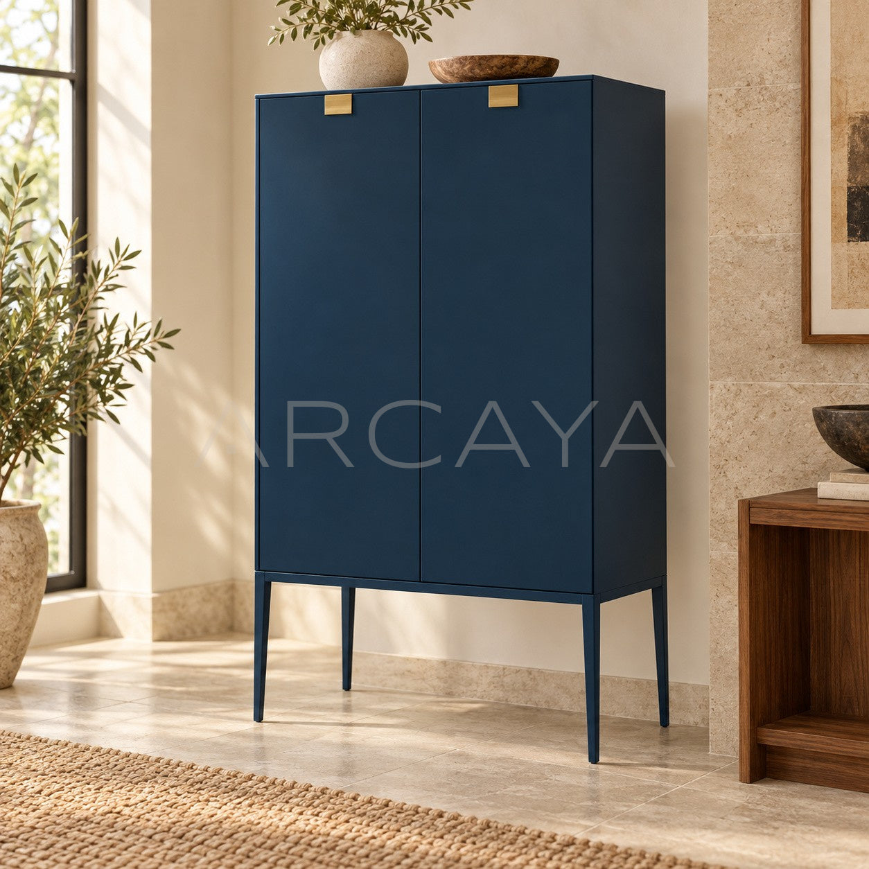 Cabinet Sm D50 - scene