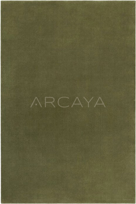 Dark Green Solid Rug Dsm P026 C01 - scene